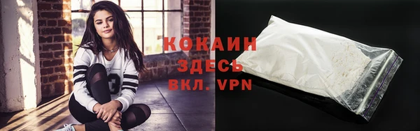 spice Алексин