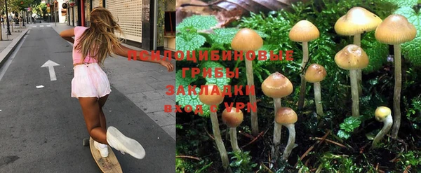 хмурый Алексеевка