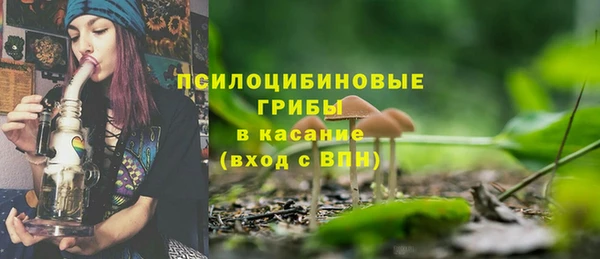 стафф Арсеньев