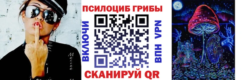 даркнет официальный сайт  Самара  Псилоцибиновые грибы Cubensis 